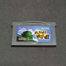 Soft Gba