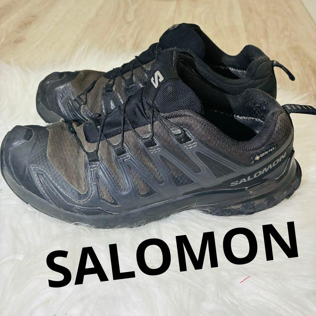 Salomon Sneakers Xa Pro 3D V9 Gtx W