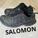 Salomon Sneakers Xa Pro 3D V9 Gtx W