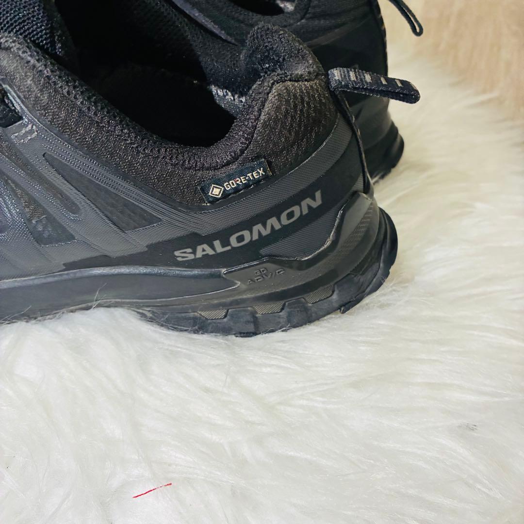 Salomon Sneakers Xa Pro 3D V9 Gtx W