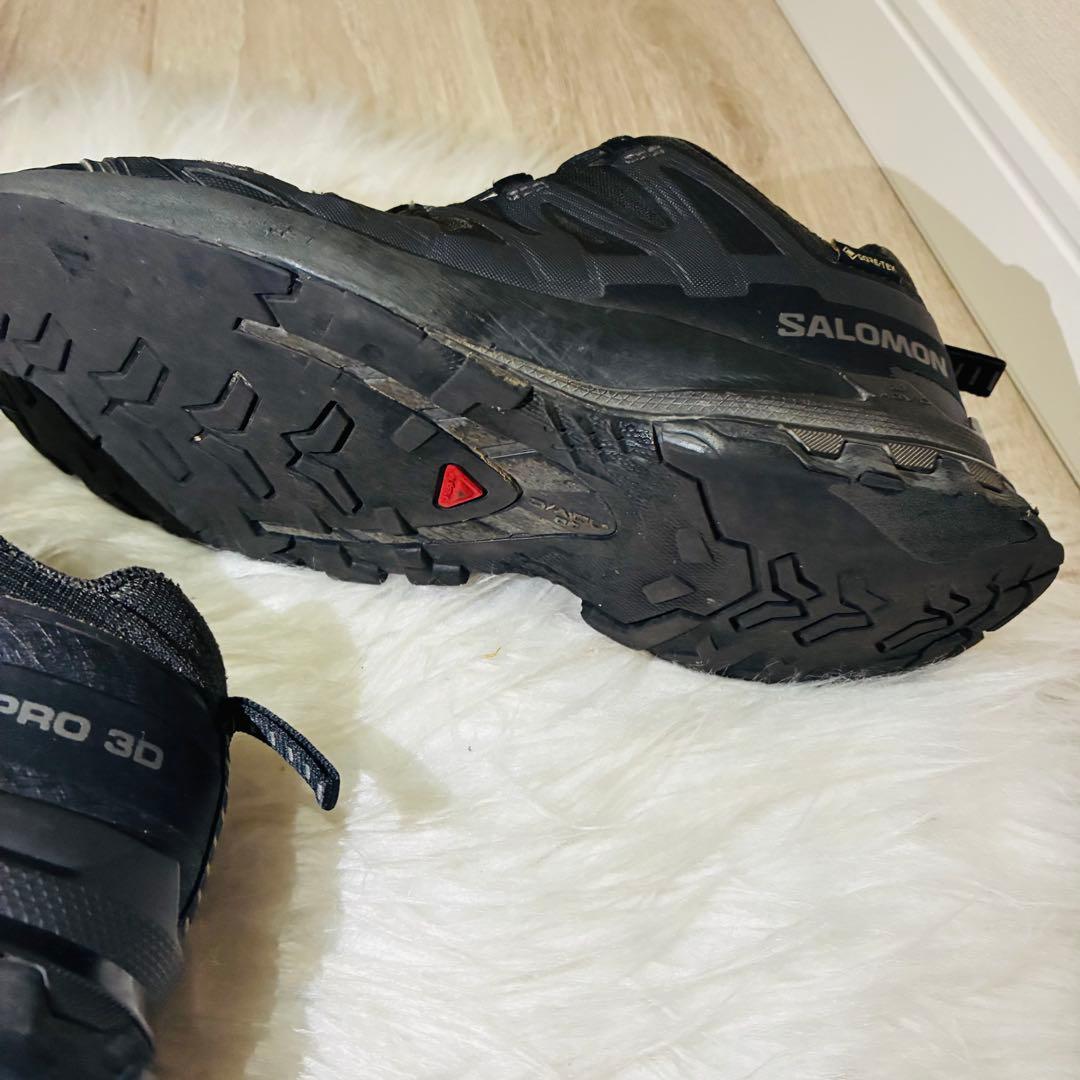 Salomon Sneakers Xa Pro 3D V9 Gtx W