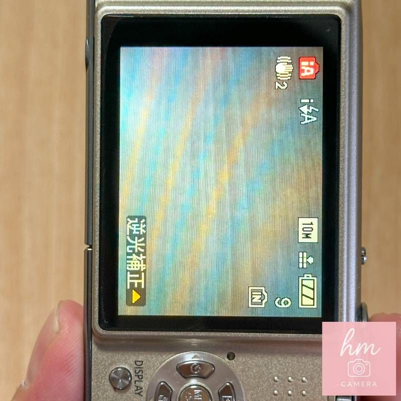 Panasonic Compact Digital Camera Lumix Dmc-Fx35 1010 4 Ia