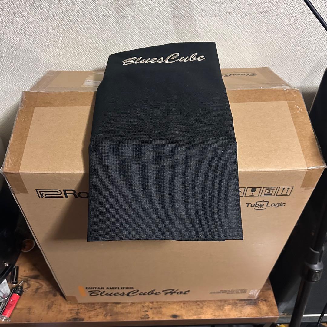 Roland Guitar Amplifiers Blues Cube Hot 30W