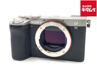 Mirrorless Interchangeable Lips 7C Ii [Ilce-7Cm2 S]