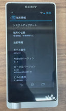 Sony Digital Audio Player Walkman Nw-Zx1 128Gb
