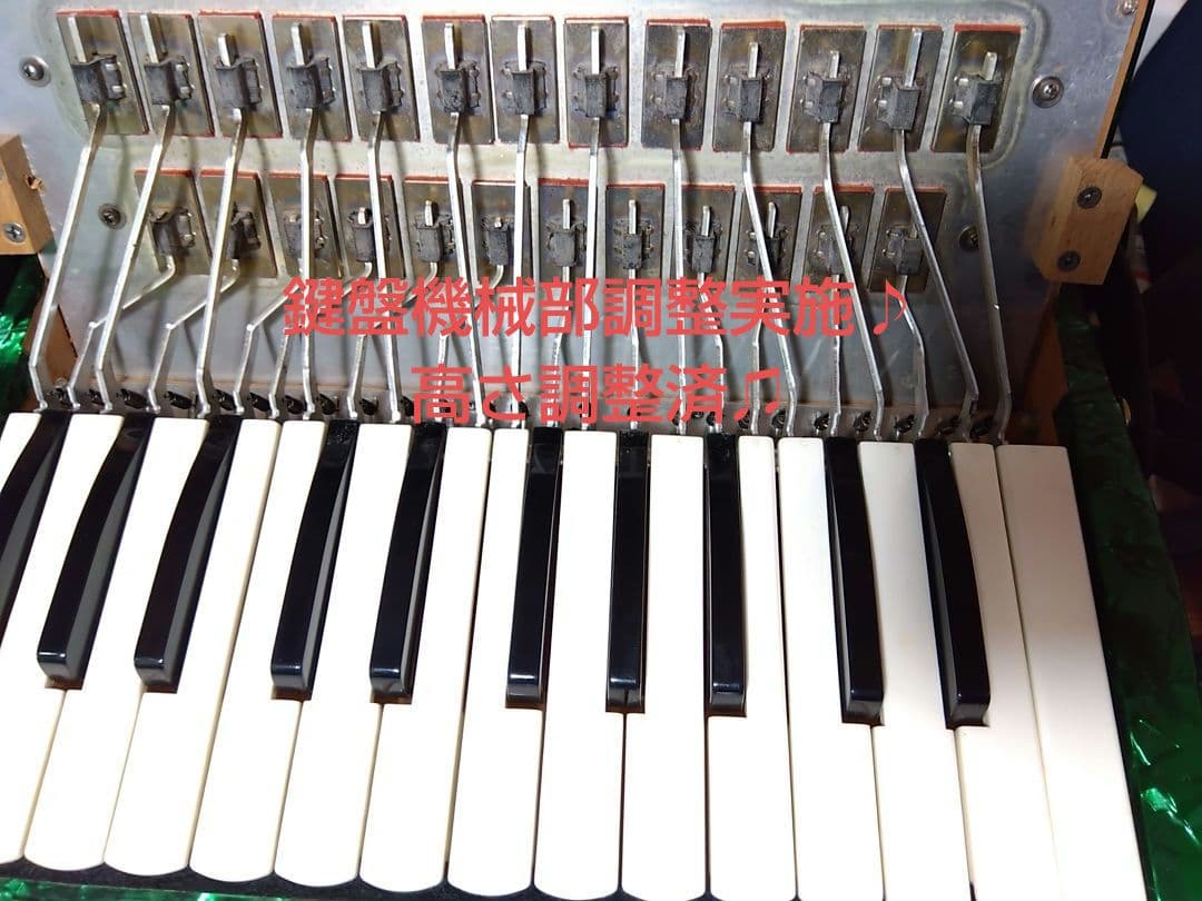 Yamaha Accordions Ya-12