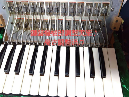 Yamaha Accordions Ya-12
