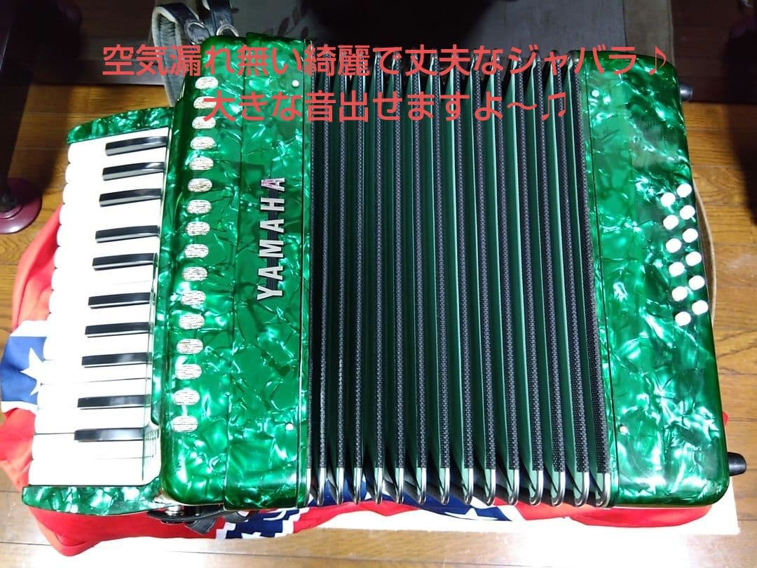Yamaha Accordions Ya-12