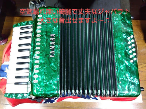 Yamaha Accordions Ya-12