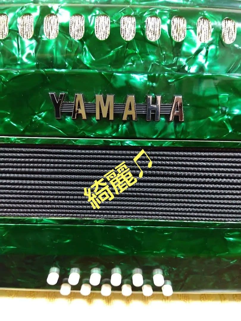Yamaha Accordions Ya-12
