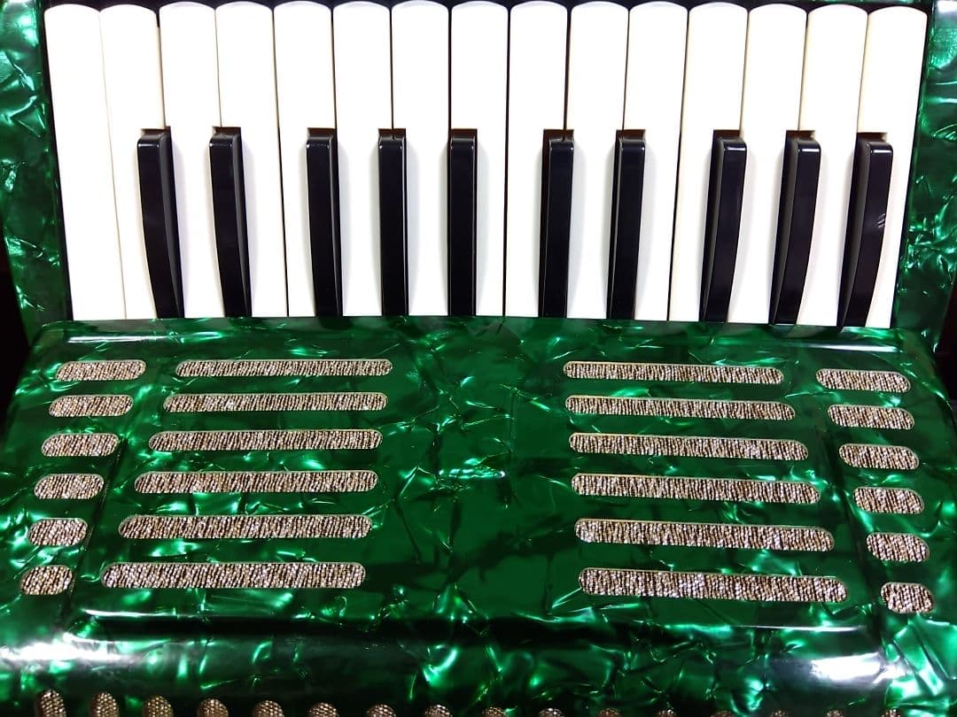 Yamaha Accordions Ya-12