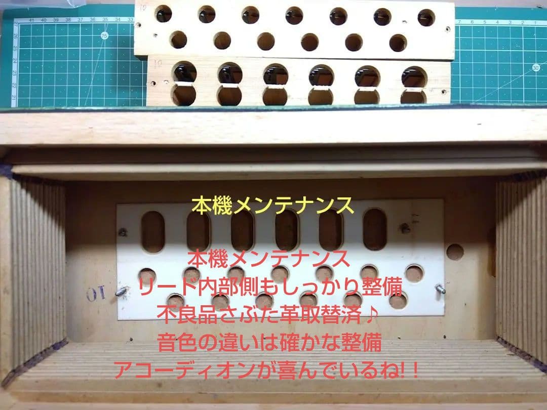 Yamaha Accordions Ya-12