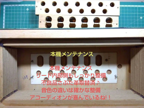 Yamaha Accordions Ya-12