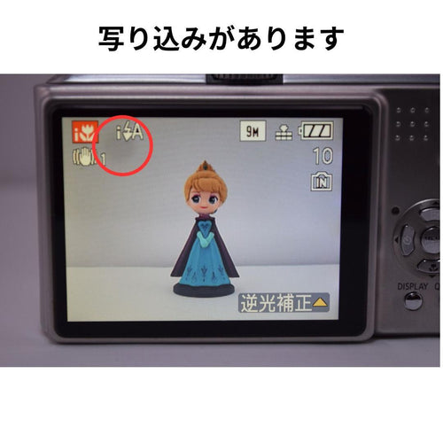 Panasonic Compact Digital Cameras Lumix Dmc-Tz5