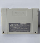 Nintendo Consoles 2