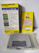 Nintendo Consoles 2