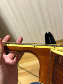 Yamaha Acoustic Guitars Lj6
