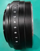 Mirrorless Interchangeable Lens Cameras Tilt