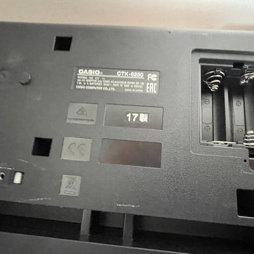 Others Casio Ctk-6250