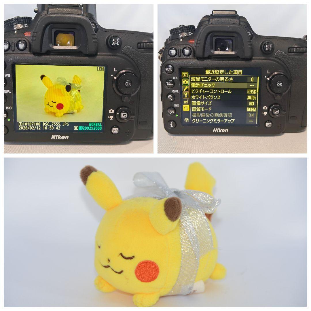 Nikon Digital Slr 1000 Off D7100