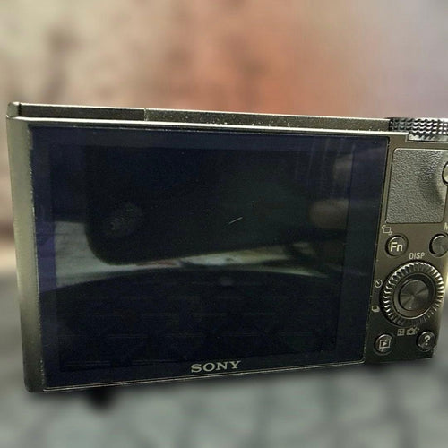 Sony Other Cyber-Shot Dsc-Rx100