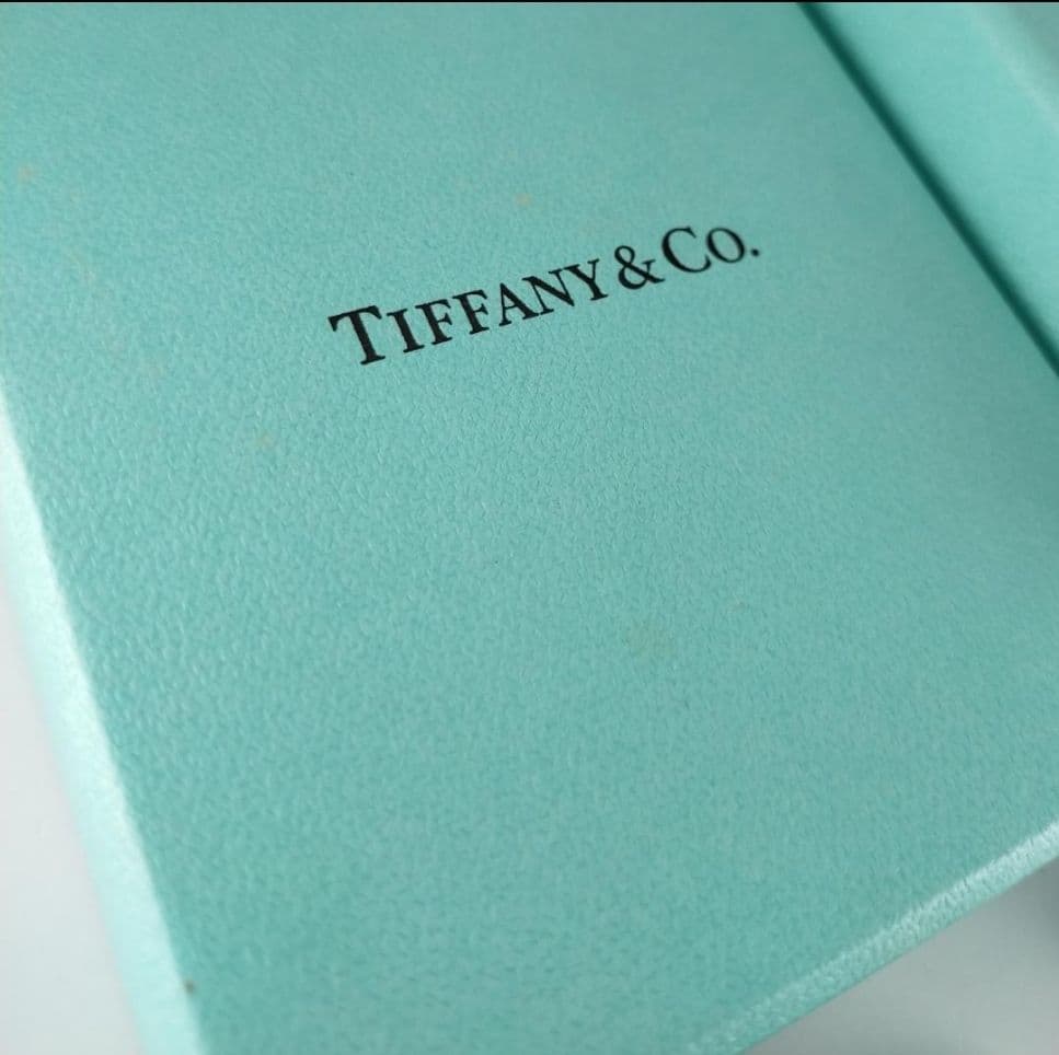 Tiffany Necklaces 2581