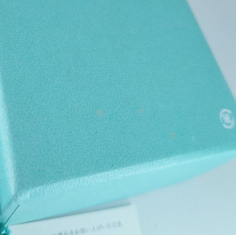 Tiffany Necklaces 2581
