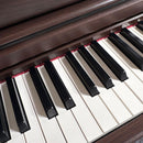 Yamaha Keyboards Digital Pianos Sclp-5450 2017