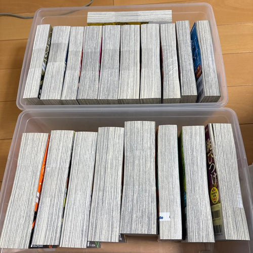 Boy'S Manga 19