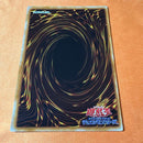 Yu-Gi-Oh! Ocg Duel Monsters (Japanese)