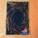 Yu-Gi-Oh! Ocg Duel Monsters (Japanese)