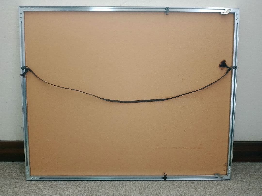 Fujifilm Picture Frame A2010 5