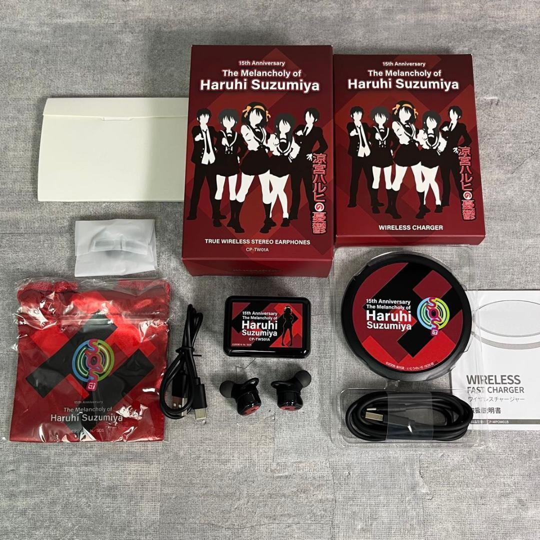 Onkyo Wireless Earphone Cp-Tw01A 15
