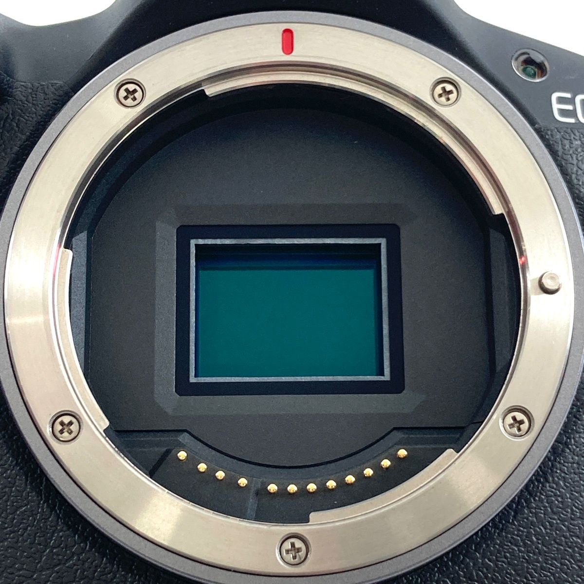 Canon Mirrorless Interchangeable Lips Eos R50