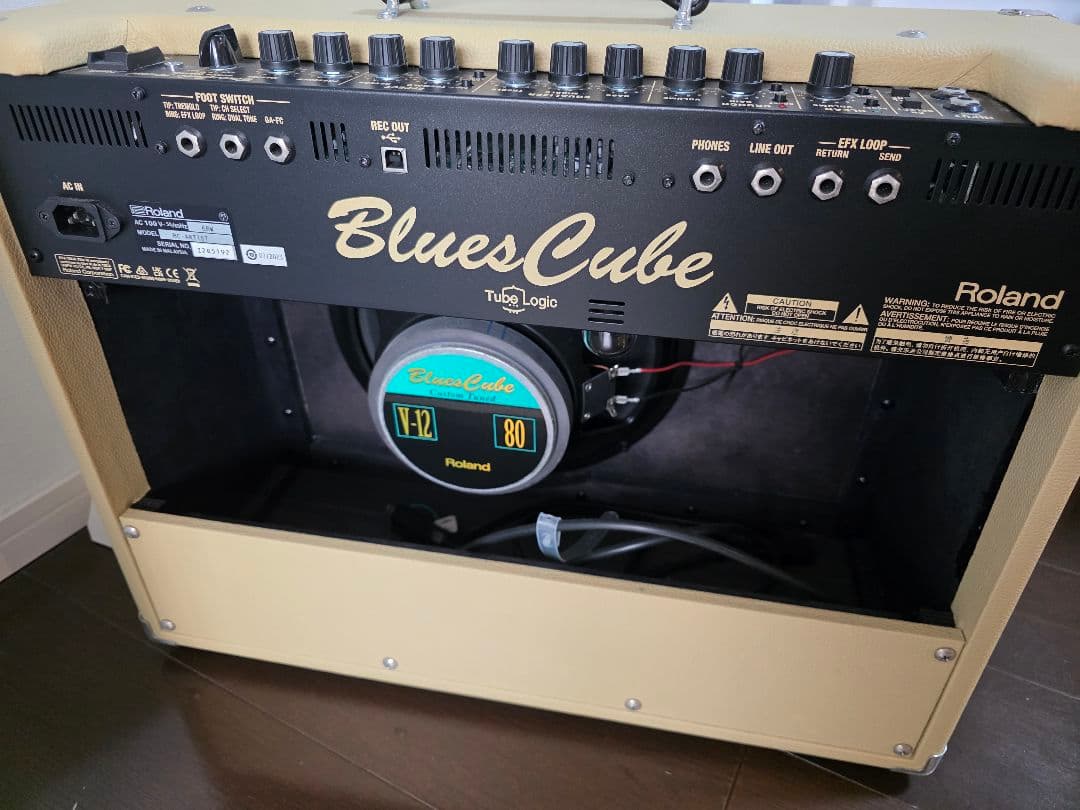 Roland Guitar Amplifiers Blues Cube Artist (Tc Ny