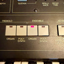Yamaha Others Sk20 Symphonic Ensemble