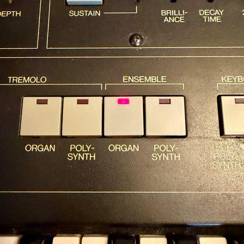 Yamaha Others Sk20 Symphonic Ensemble