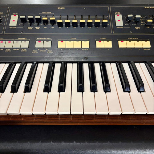 Yamaha Others Sk20 Symphonic Ensemble