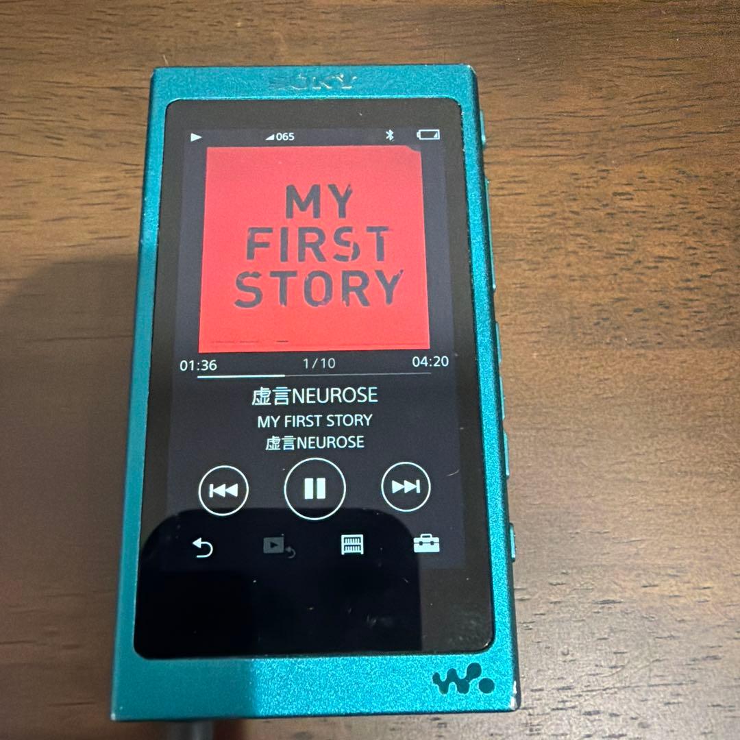 Sony Digital Audio Players Walkman Nwa35