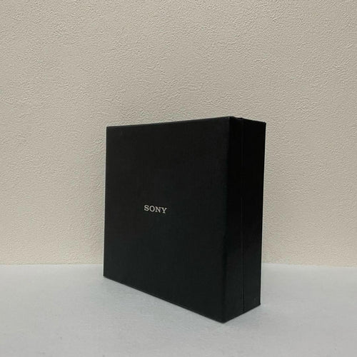 Sony Digital Audio Player Nw-A607