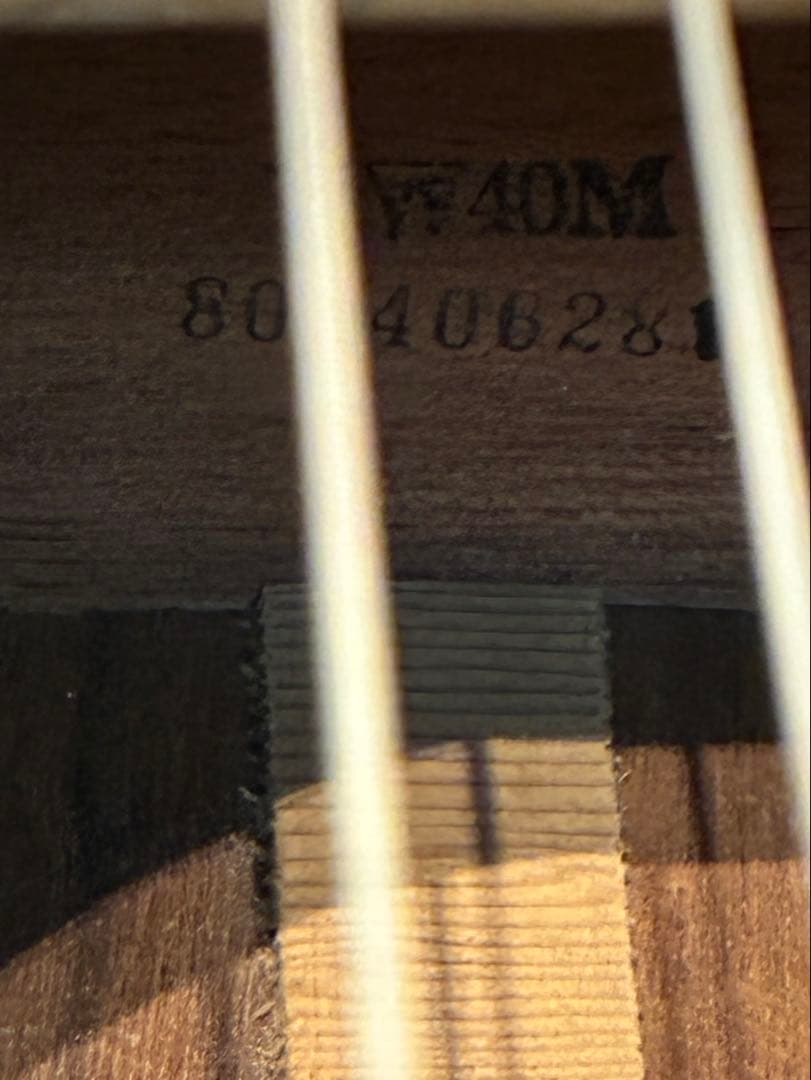 Yamaki Acoustic Guitars Yw-40M