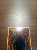 Yu -Gi -Oh! Ocg Duel Monsters (Foreign Language Version) M Lice Q Hearts Of