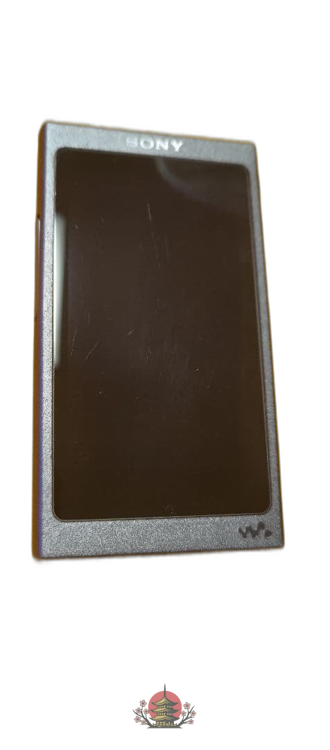 Sony Digital Audio Player Nw-A35