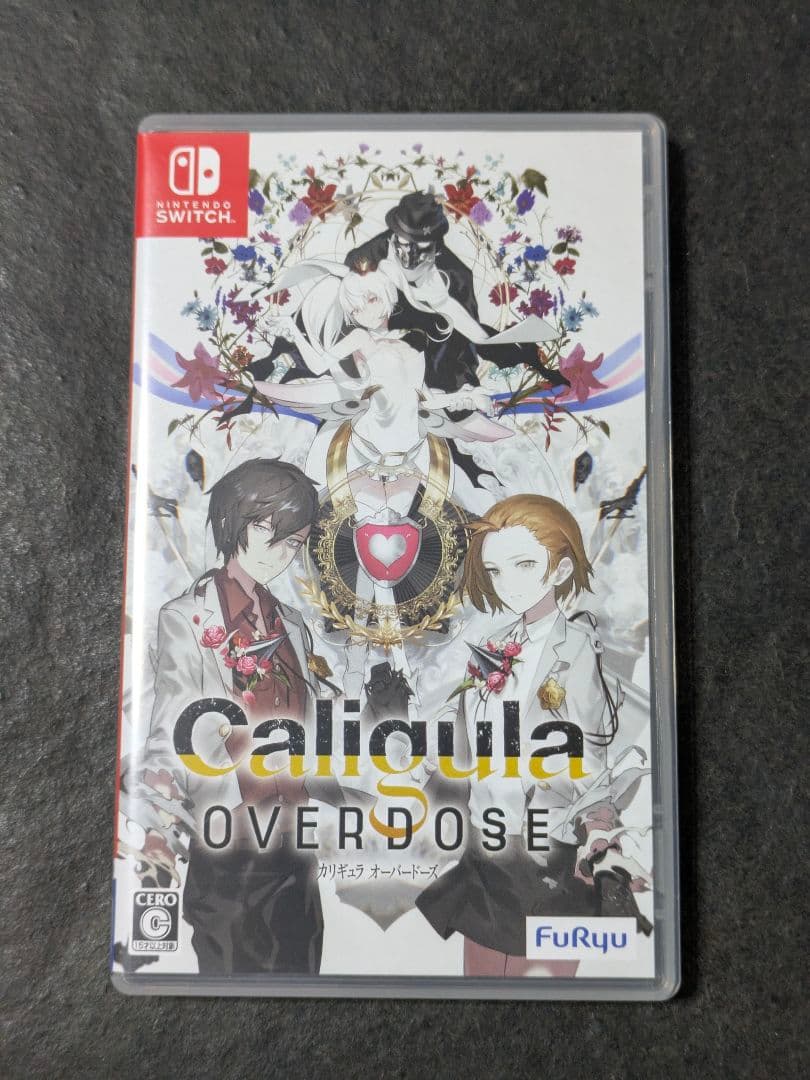 Nintendo Switch Software (Package Version)