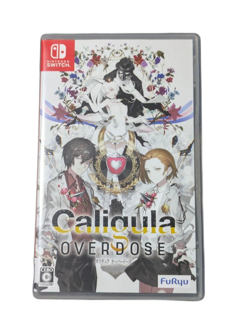 Nintendo Switch Software (Package Version)
