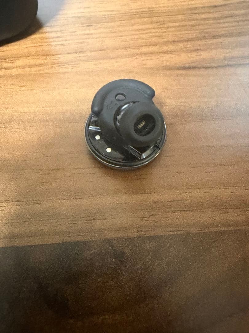 Denon Wireless Earphones