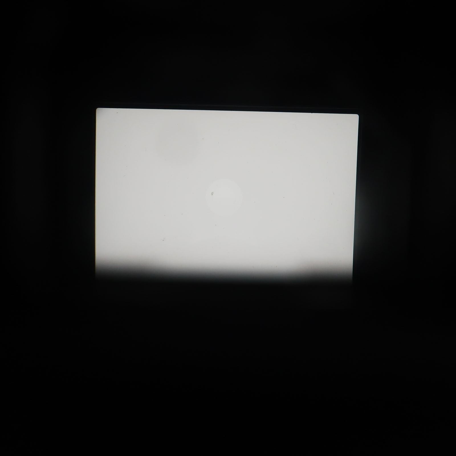 Contax Slr Camera (Film) Rx