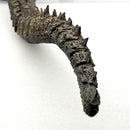 Bandai Godzilla Vs A Sofvics