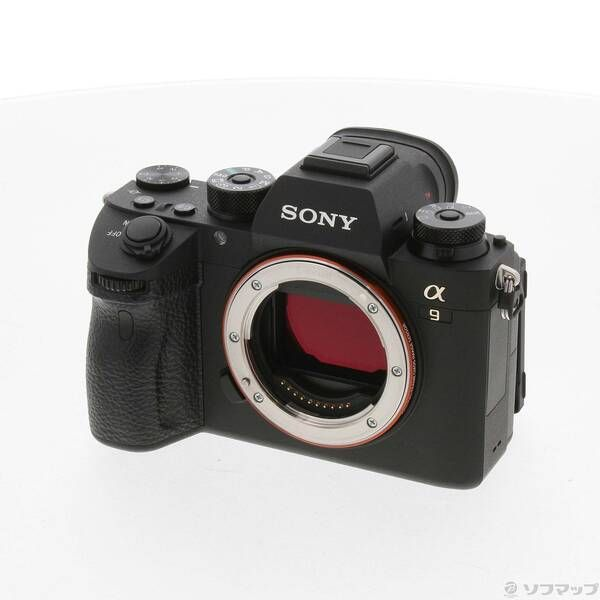 Sony Mirrorless Interchangeable Lips 9 Ilce-9 262