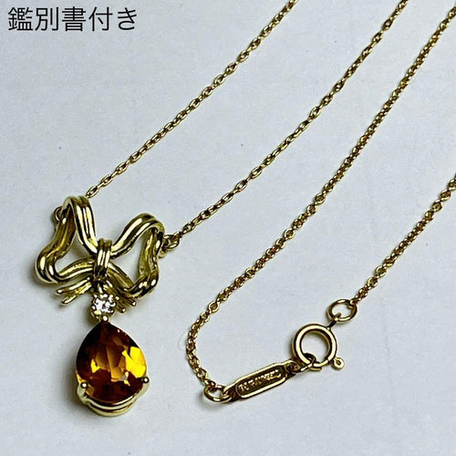 Tiffany Necklace 750 1P